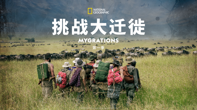 单调生活的源头：现代社会的工作模式