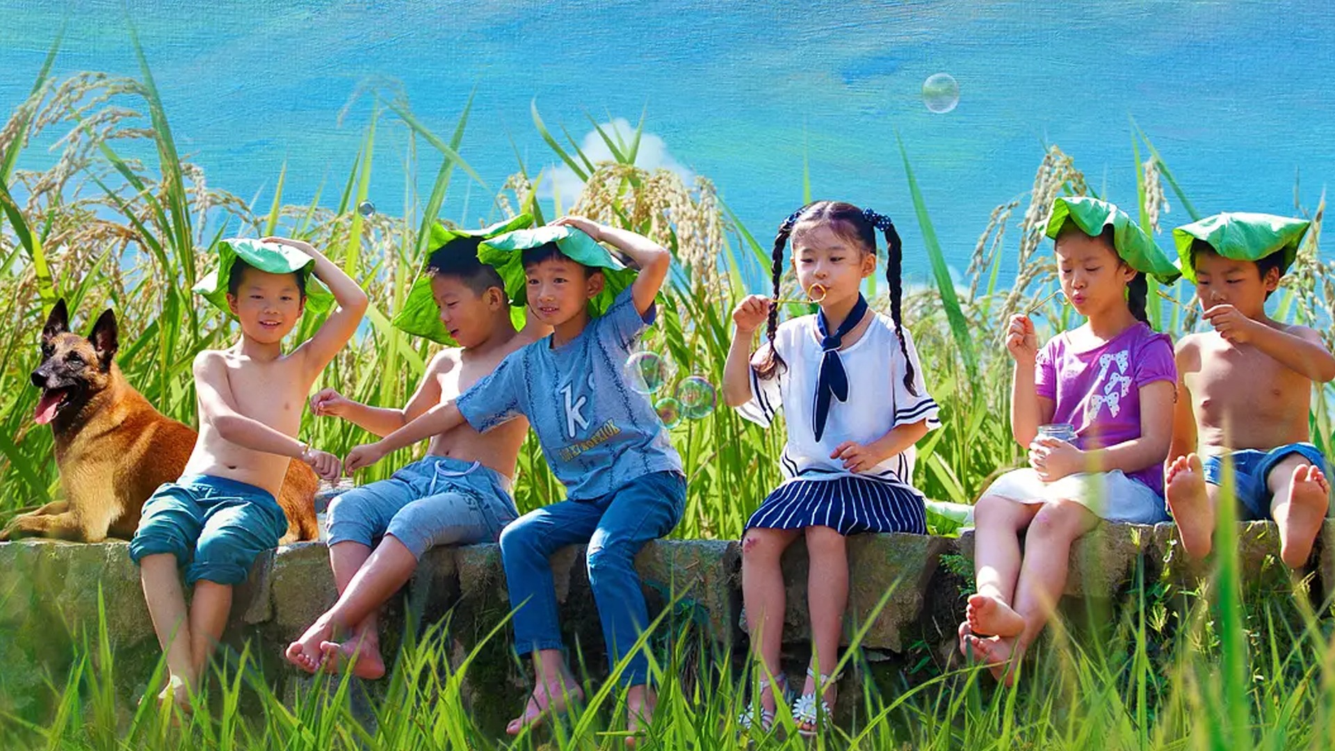 奶奶的家