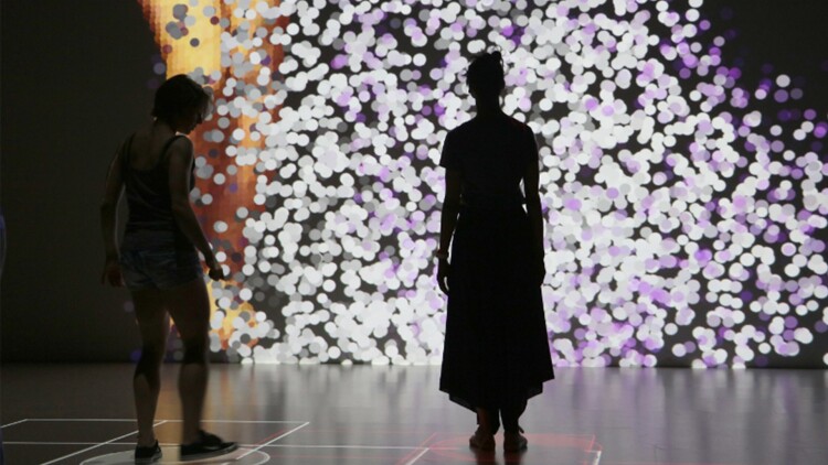 迪士尼动物王国第二季