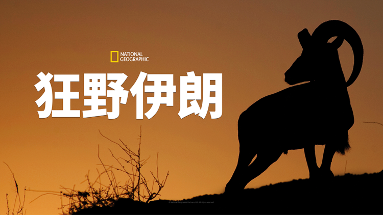 心动狩猎的危机与考验