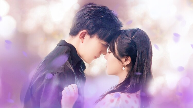 聪聪的搭档是谁？