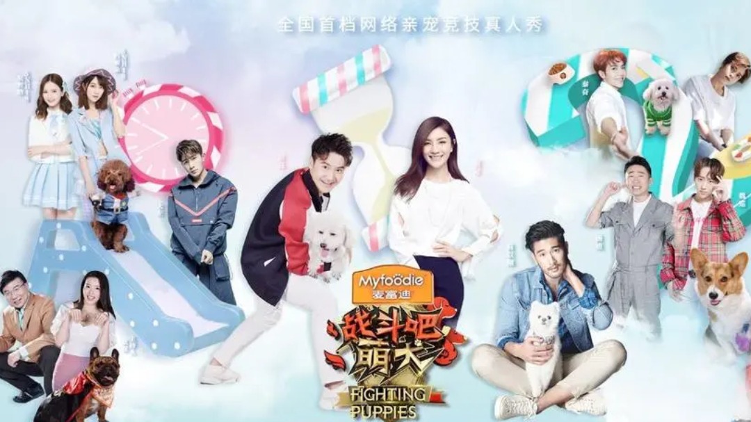 战斗吧萌犬
