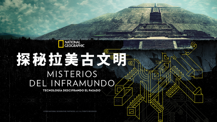 王妃她是重生的