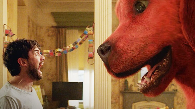 错把顽石当珍珠