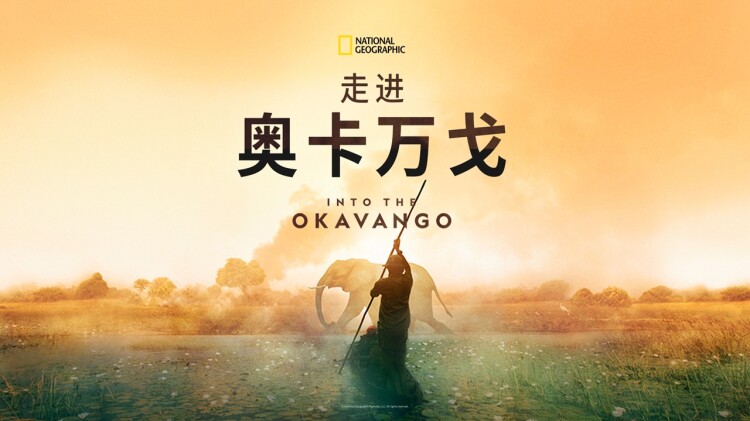 天降玄孙龙凤呈祥