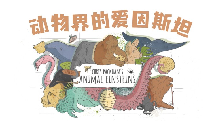 《她在星河之州》最新选集