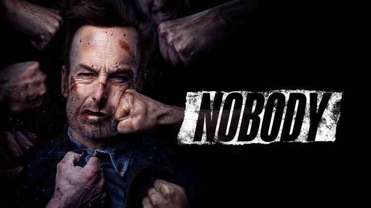 闪婚后顾指挥独宠农家娇妻