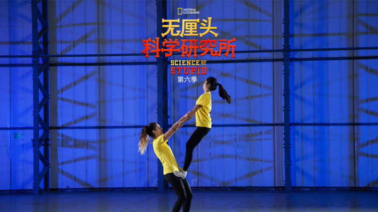 奥林匹克公园：一片绿色的奥运精神