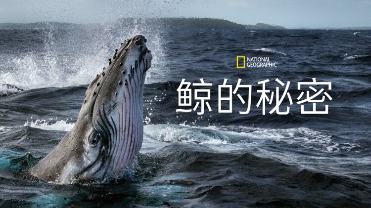 沙发的最早起源：古埃及与古希腊