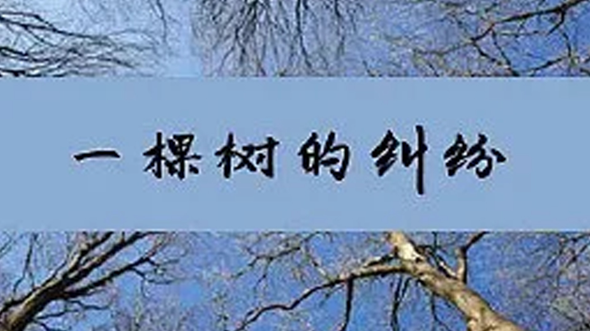 一棵树的纠纷-封面1
