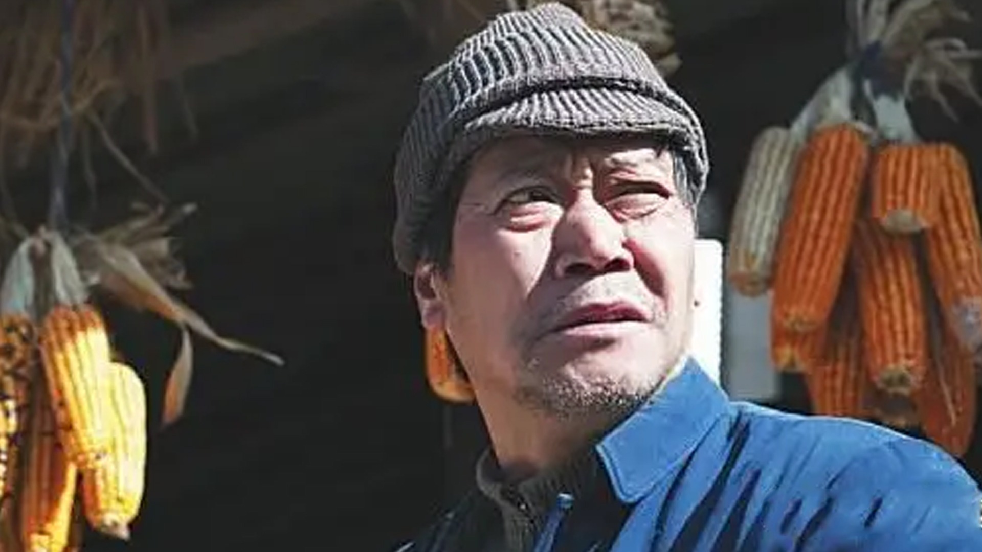 县长当村官-封面1