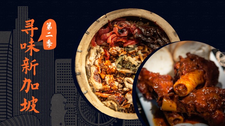 她才是总裁的白月光