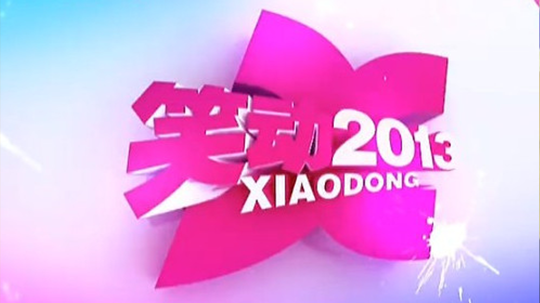 笑动2013