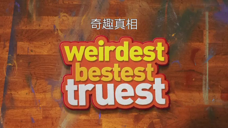 网站建设的预算规划：如何避免预算超支？