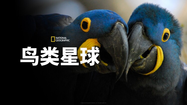 换脸·陌生生活的开始