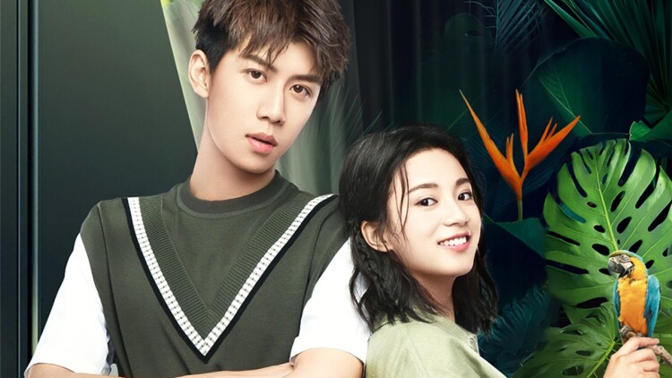 购买建议：如何选择最适合你的PSP？