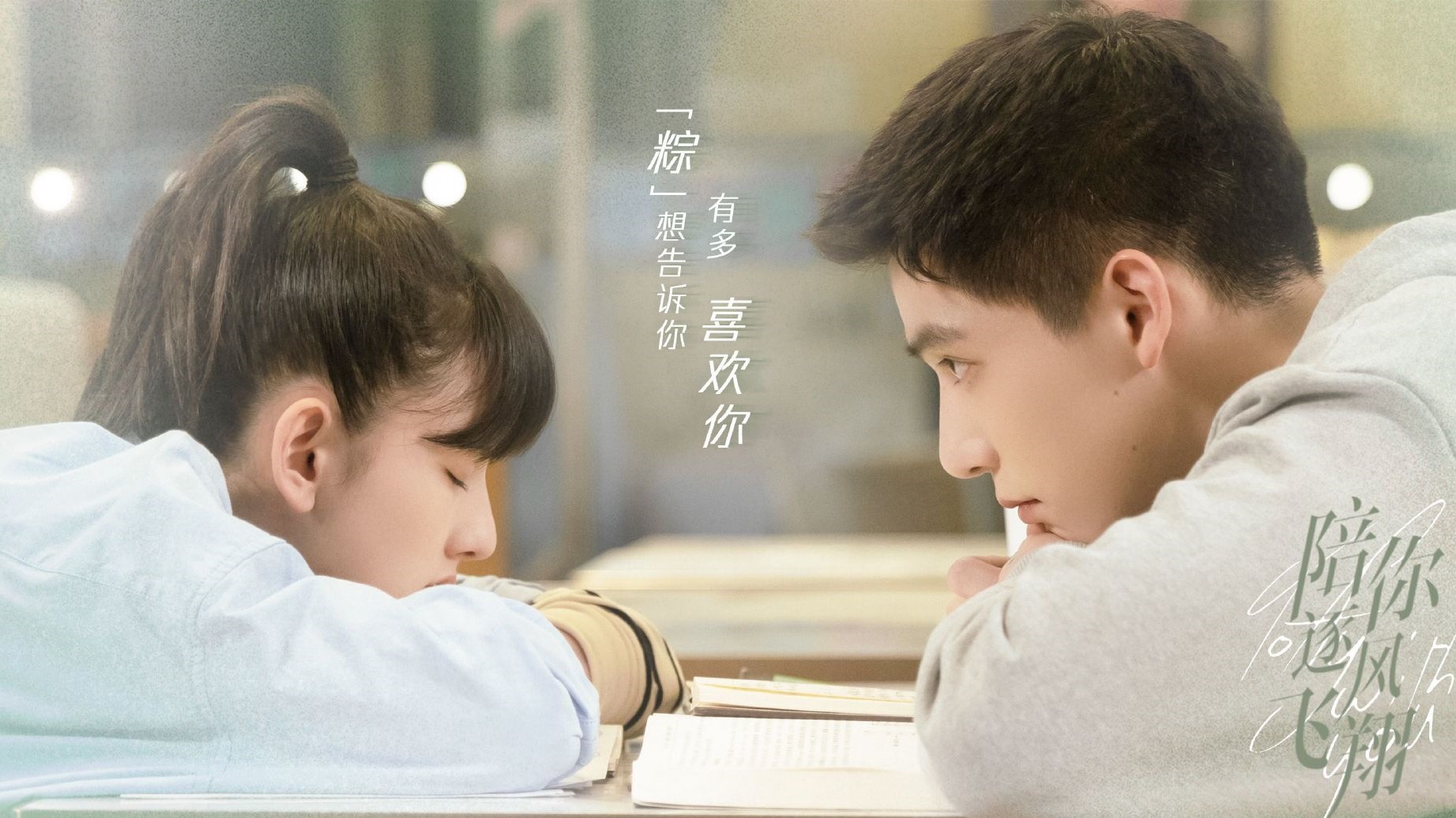 陪你逐风飞翔[DVD版]-封面1