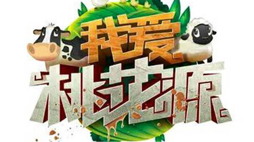我爱桃花源 明星版-封面1