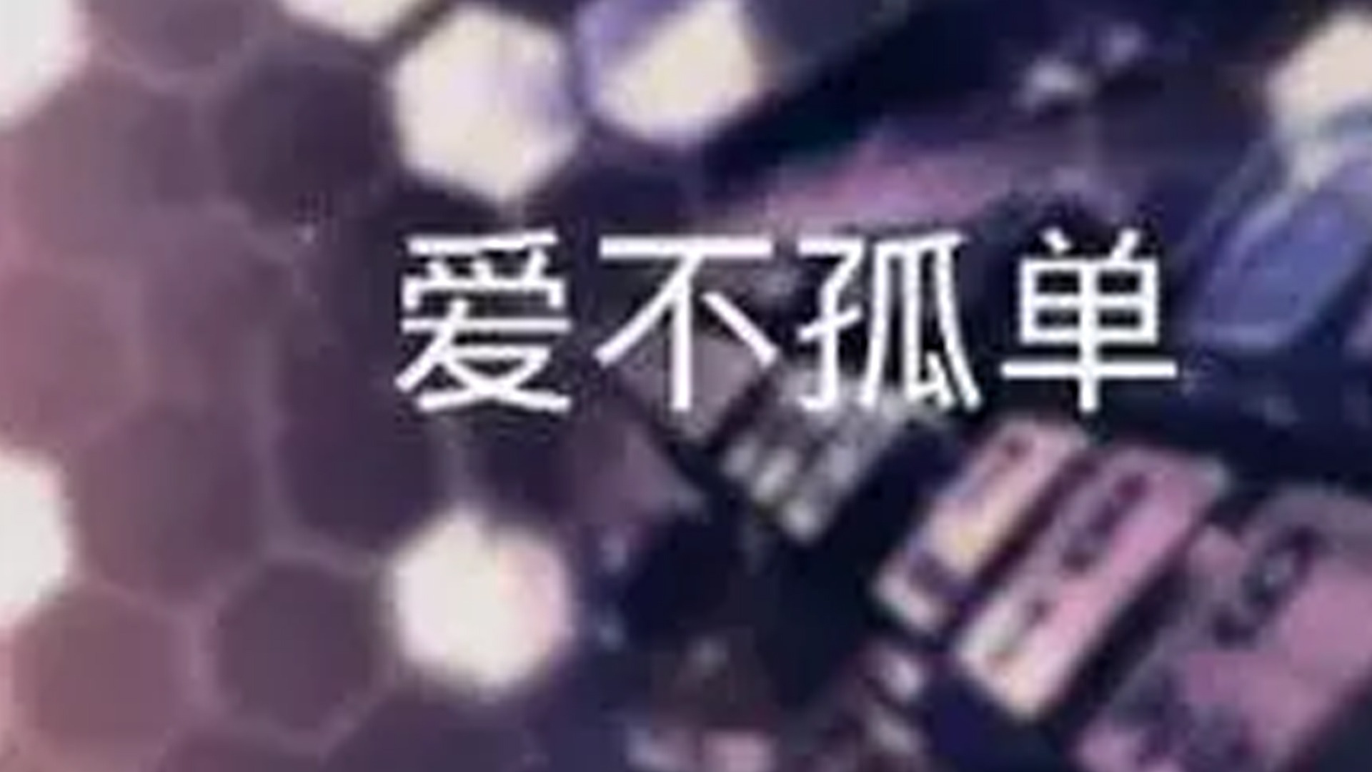 爱不孤单