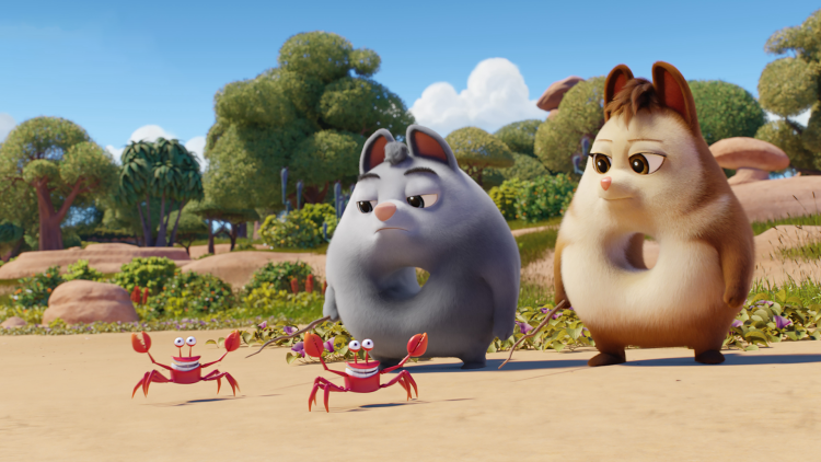 胡杏儿与粉丝的互动：博客中的情感纽带