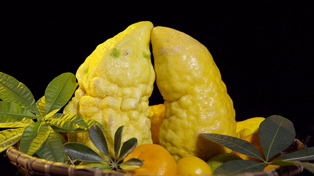 穿成反派权臣的恶毒妻