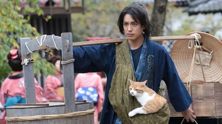 千年此去不相逢