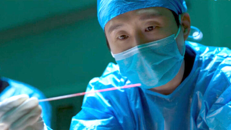 猫咪本喵之猫猫流浪记