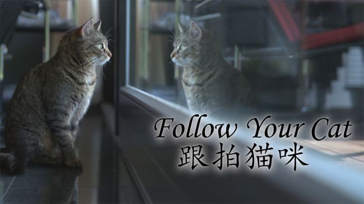 如果声音不记得