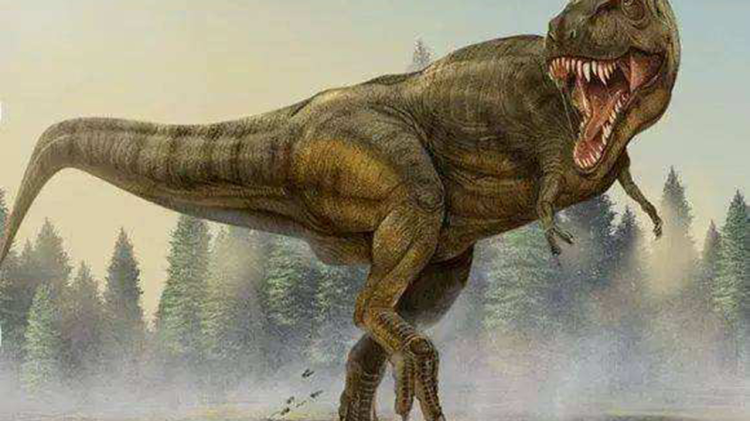 她与人间两相欢