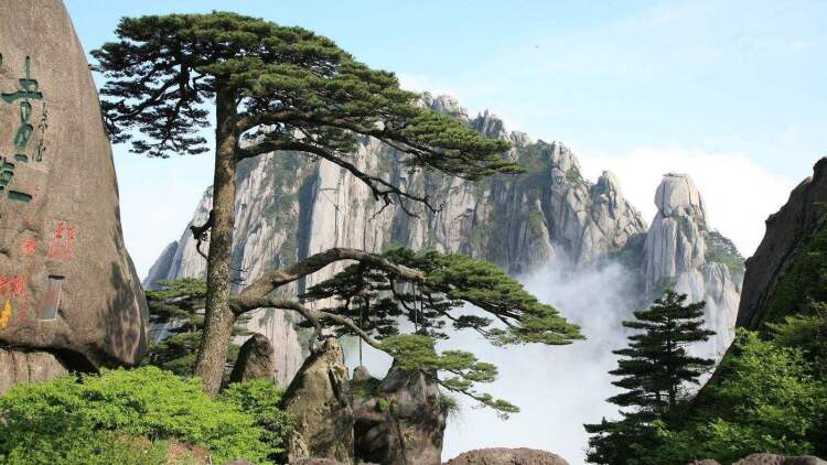 闪婚影帝甜蜜蜜