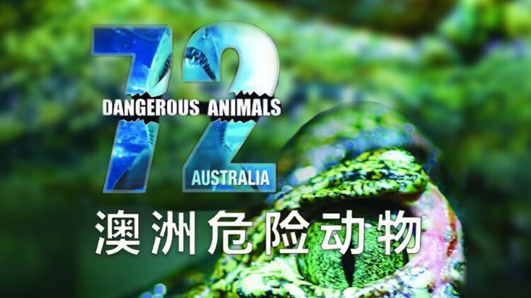 媚骨——力量与复仇的觉醒