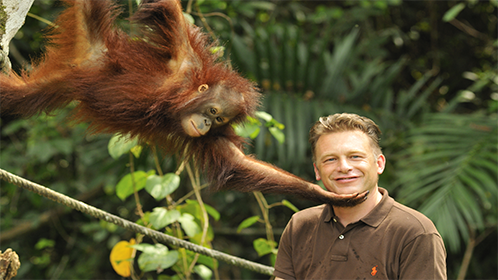 妈妈你好·岁月沉淀的深情