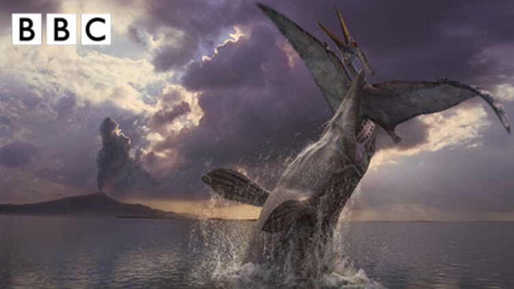 我的后半生短剧版·友情支撑