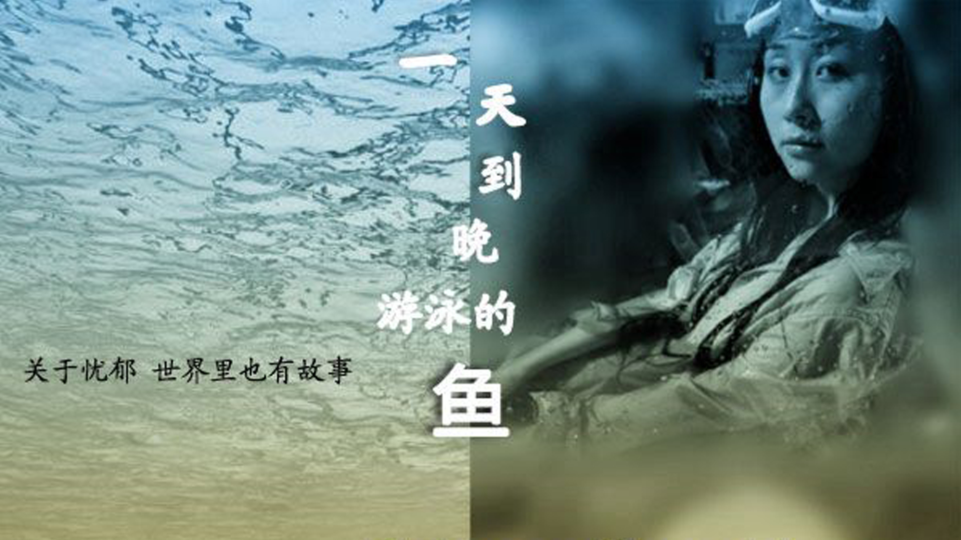 一天到晚游泳的鱼-封面1