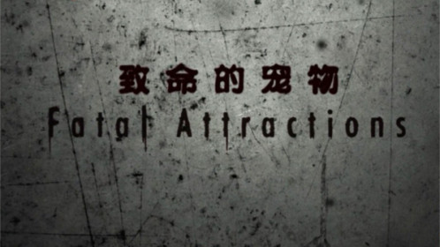 致命宠物第2季-封面1