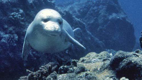 无法磨灭的爱·离别的痛楚