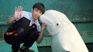 帅气白鲸驯兽师征服全场