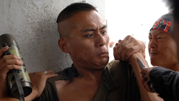 冒牌夫人鸠占鹊巢