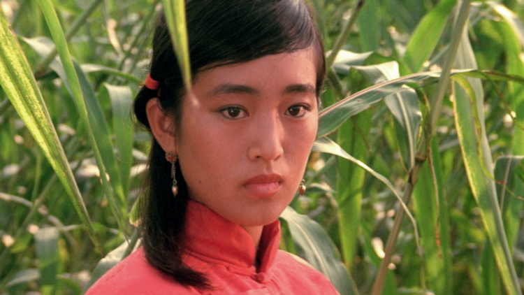 《穿越74分家后天天有肉吃》人际关系与情感互动