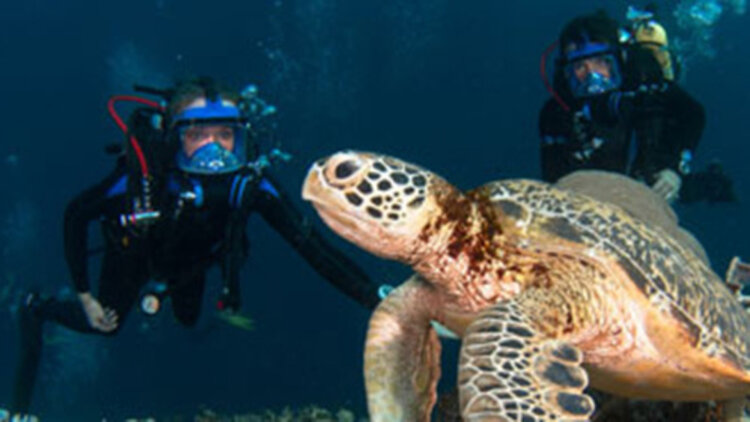 为什么选择白话版的《抱朴子·内篇》？