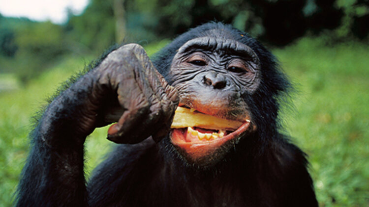 退婚你提的我走你哭啥·温情和解