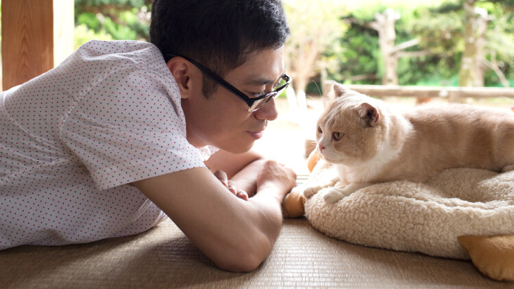 横推六国你管这叫纨绔世子