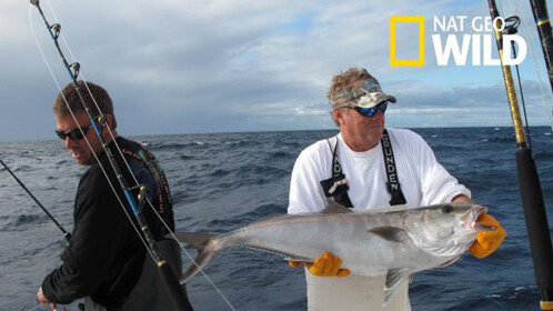 萌宝助攻爹地不要跑