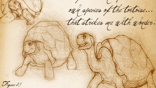 联系客服解决有效期问题