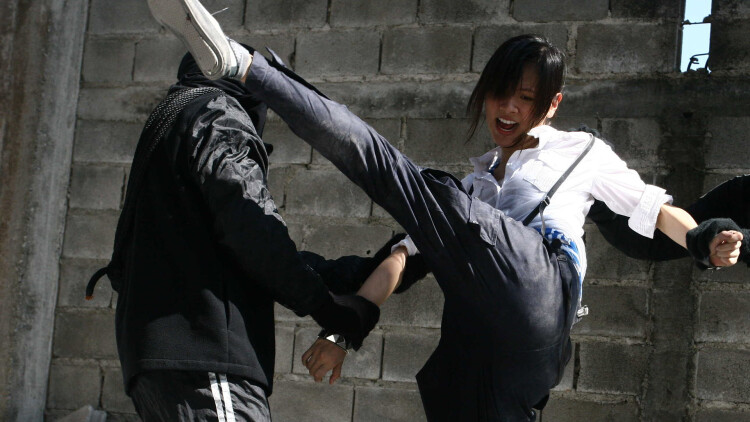 数字文化与网络应用