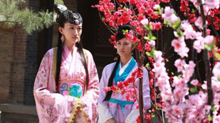 《自然学院林第二季》：迈向自我成长与自然共振的结局