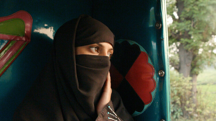 《花开花落终有时》：思念与坚持的考验