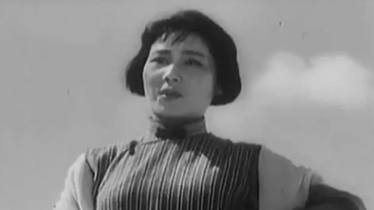 巡回检察组网络版