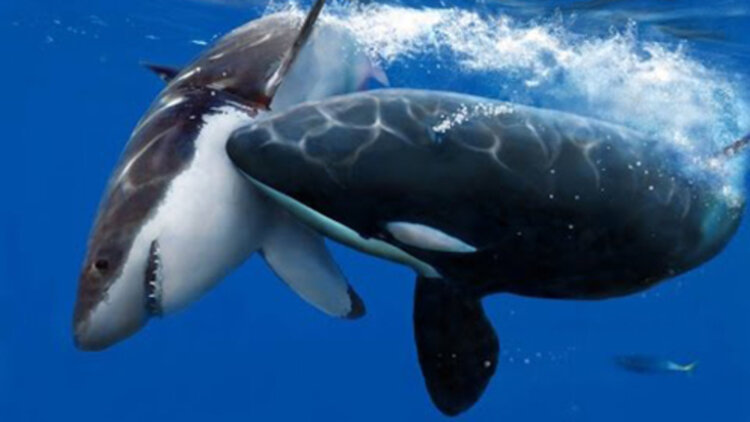 错过你的那些年