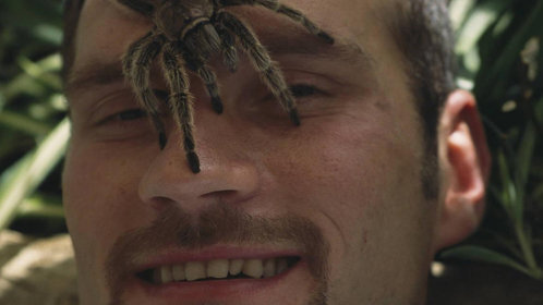 惟愿儿女乘风起